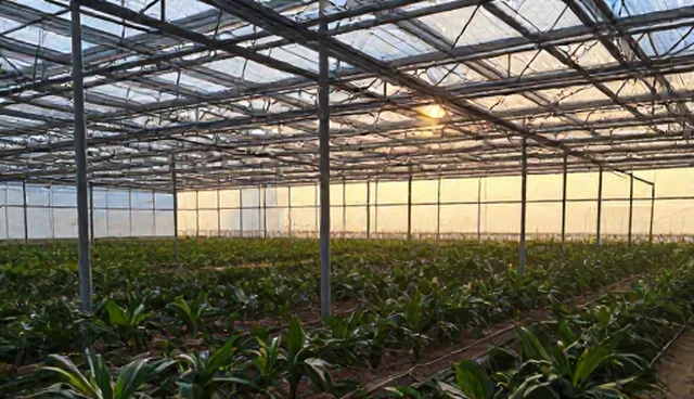 运维服务选型中地区因素的两个实际环节分析